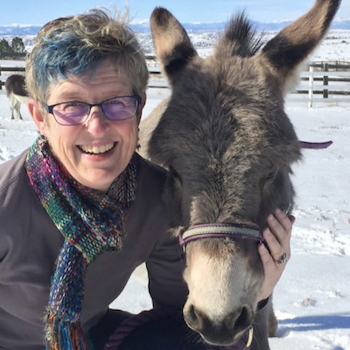 Lisa Crispin