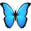 :butterfly: